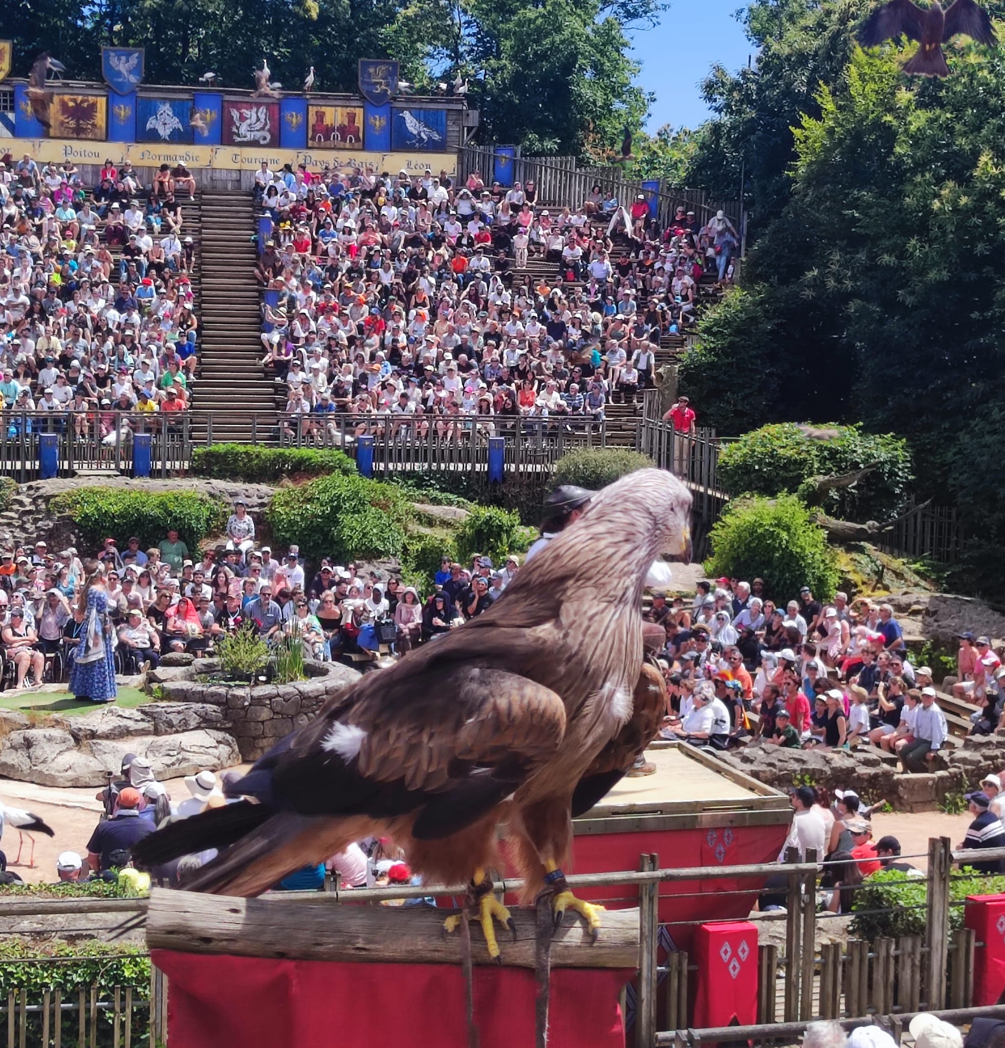 Spectacle le Puy du Fou, "le bal des oiseaux fantômes"