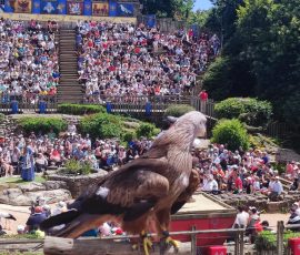 Spectacle le Puy du Fou, "le bal des oiseaux fantômes"
